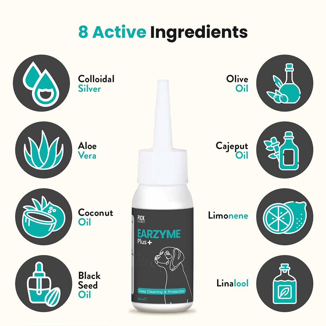 Earzyme® Plus Ear Drops