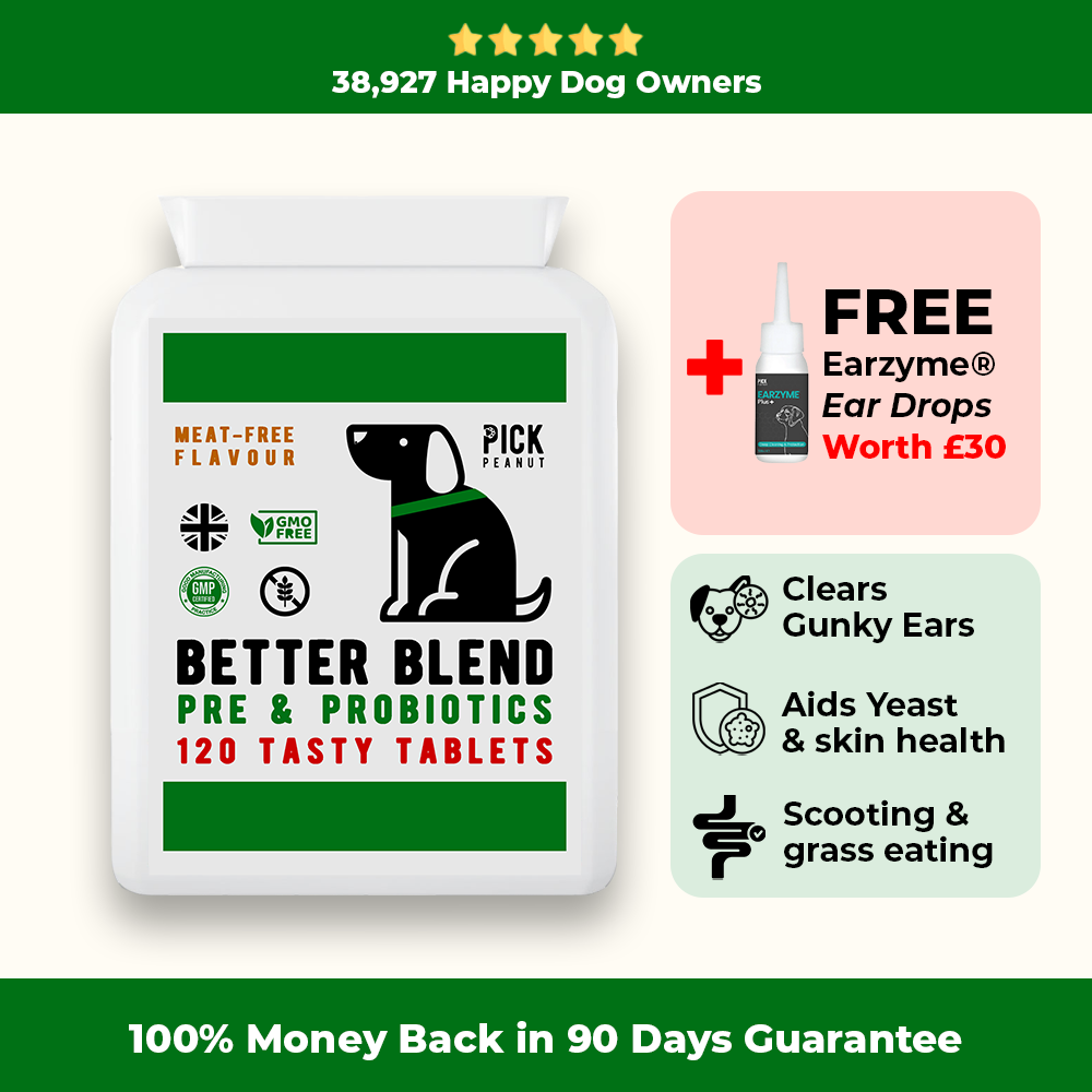 90 Day Health Plan