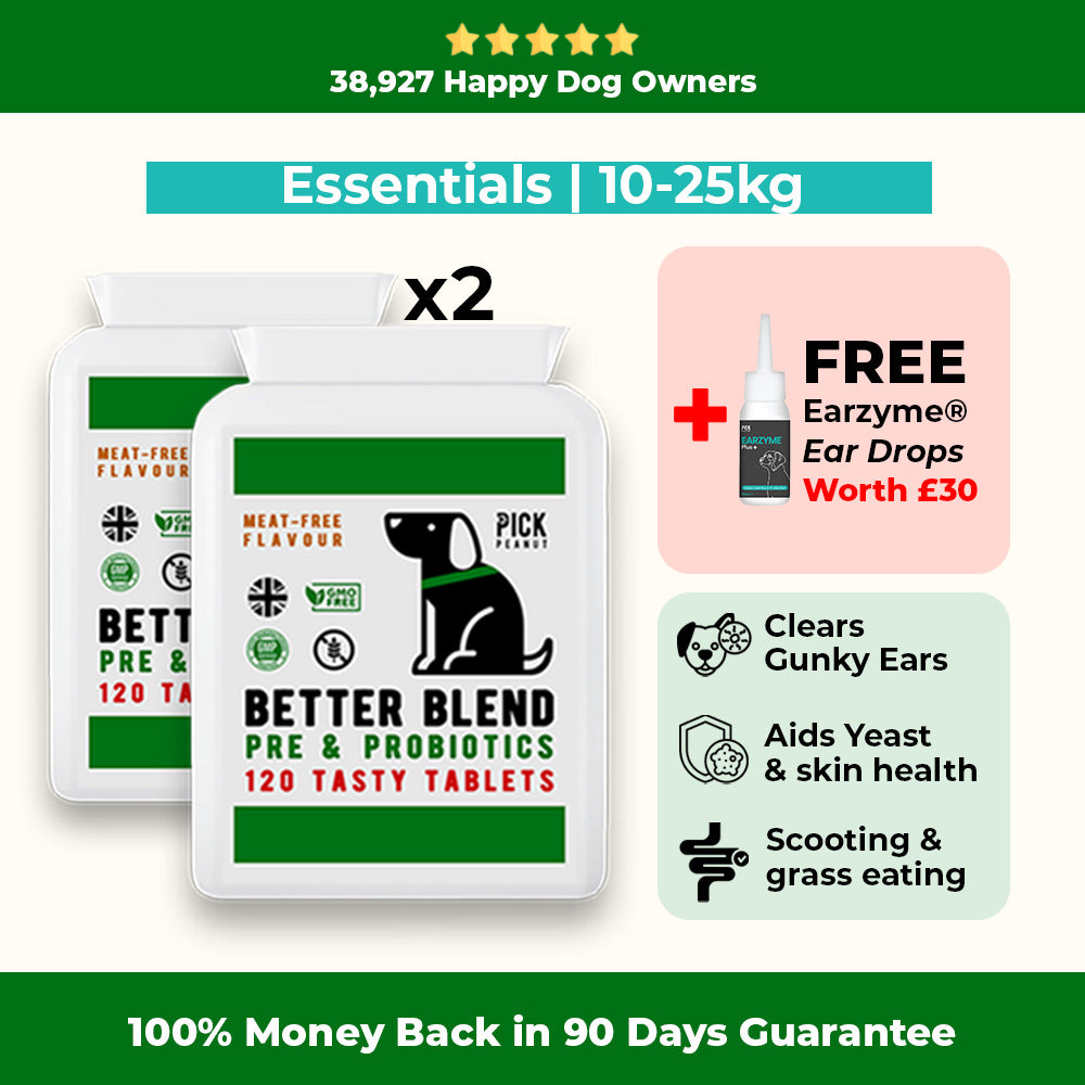 90 Day Health Plan