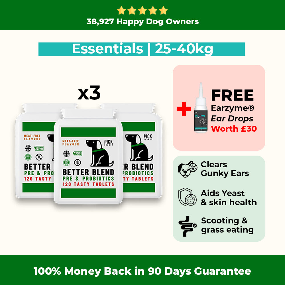 90 Day Health Plan