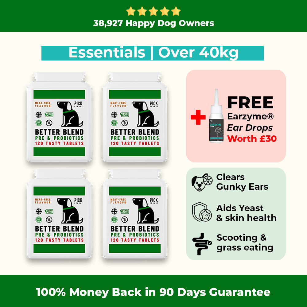 90 Day Health Plan