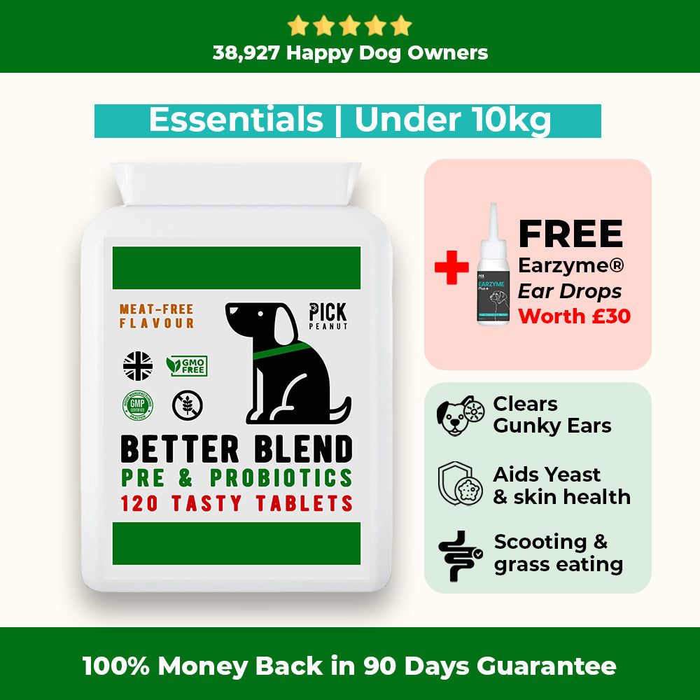 90 Day Health Plan
