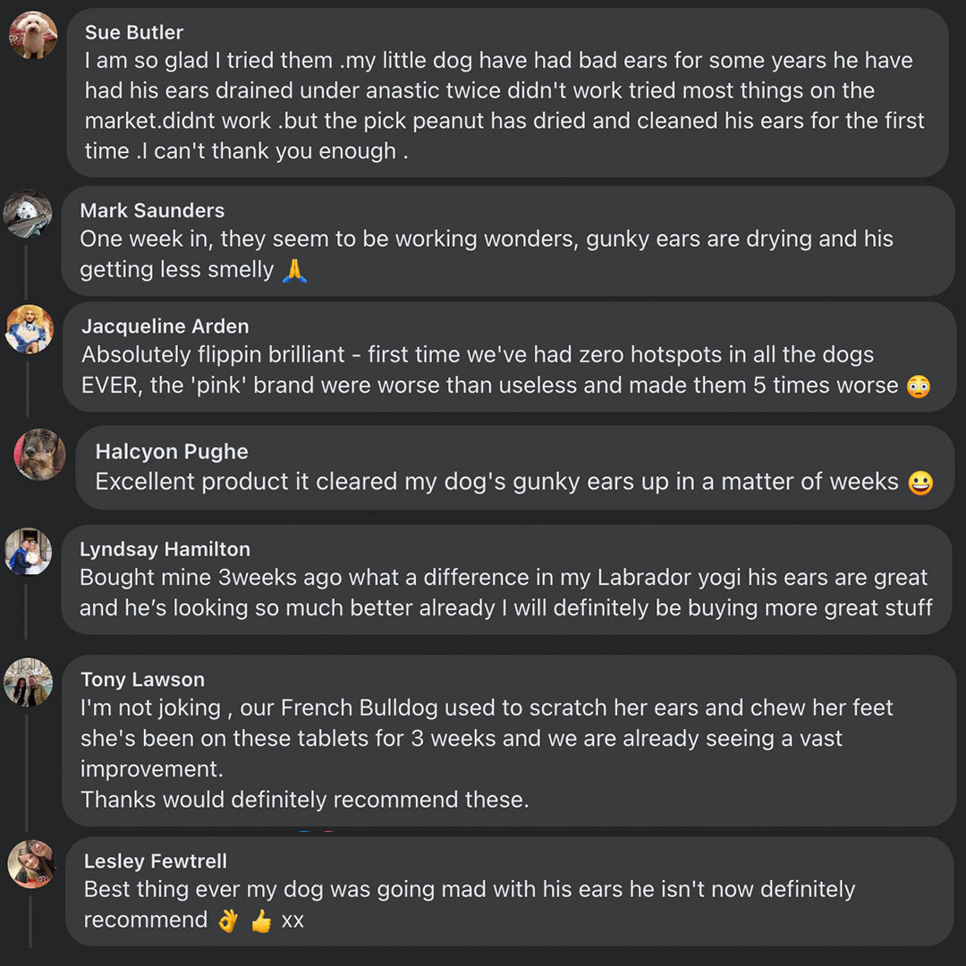 Microbiome Support (probiotics 2.0)