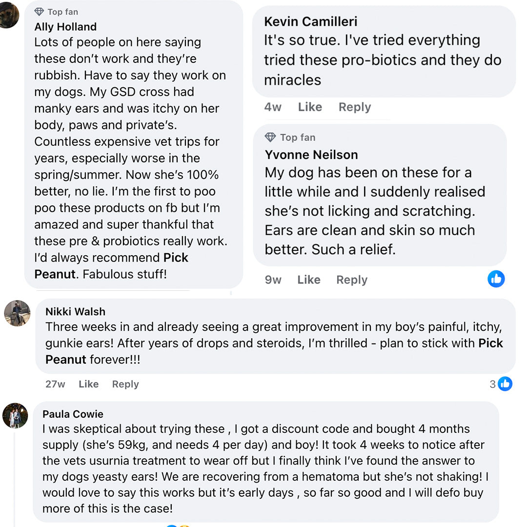 Microbiome Support (probiotics 2.0)