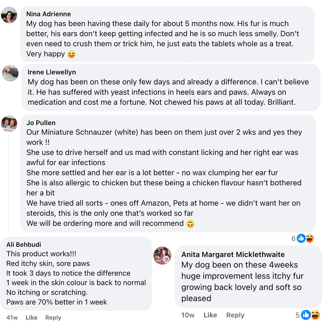 Microbiome Support (probiotics 2.0)