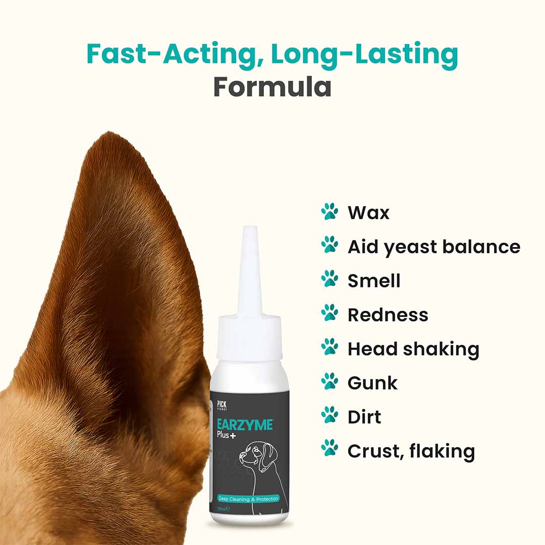 š EarzymeĀ® Plus Ear Drops
