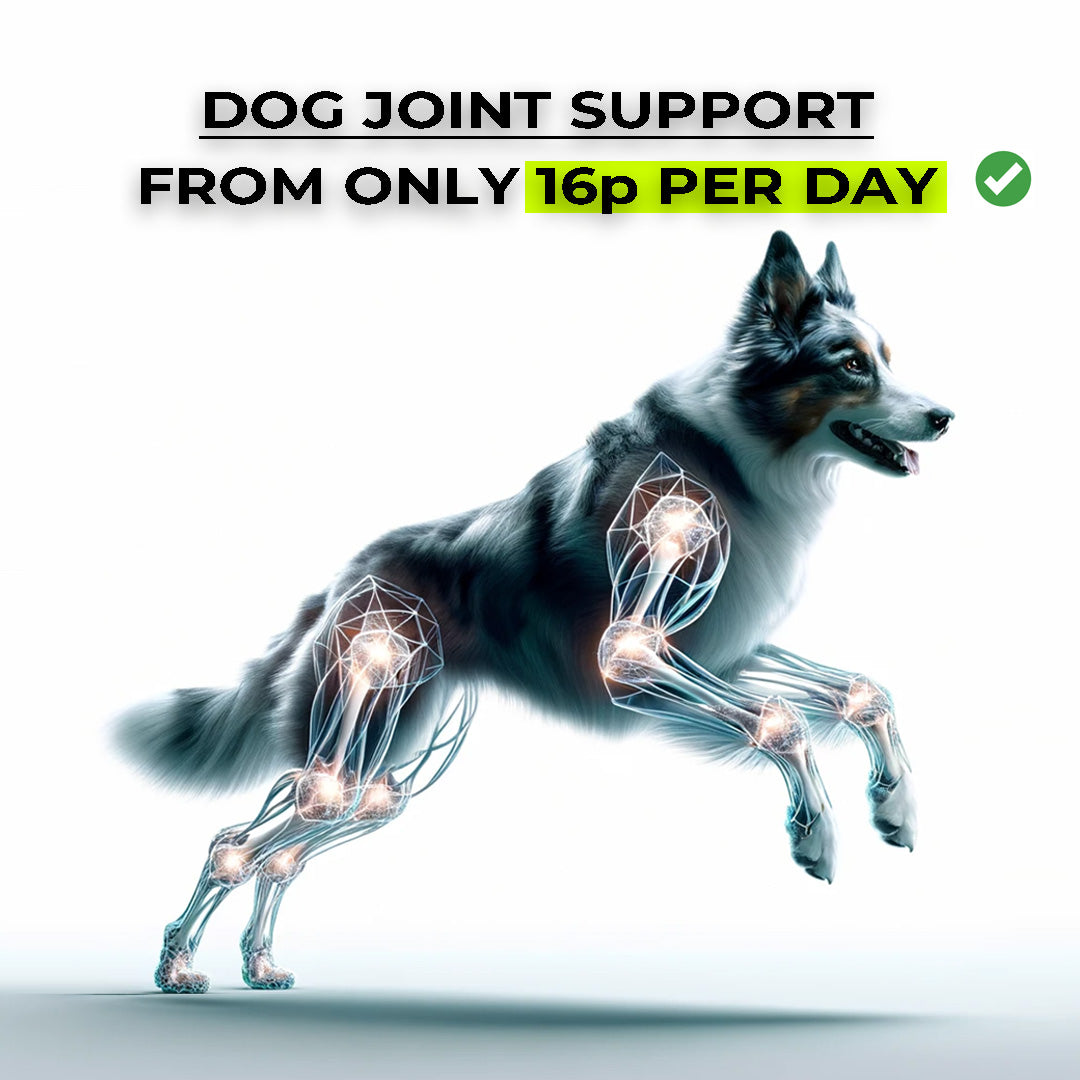 Joint Support