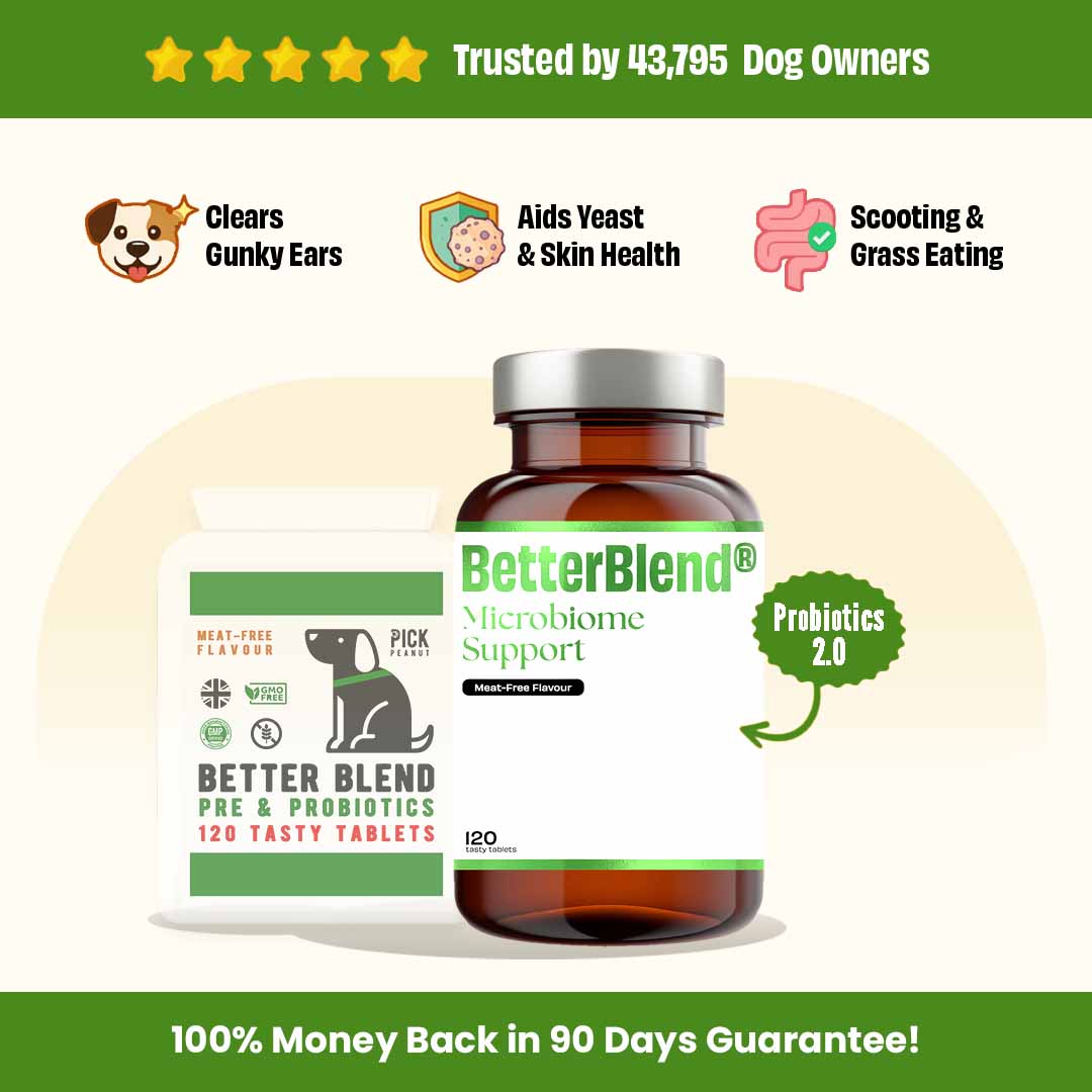 Microbiome Support (probiotics 2.0)