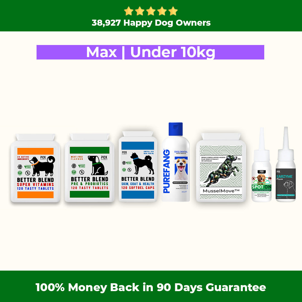 90 Day Health Plan