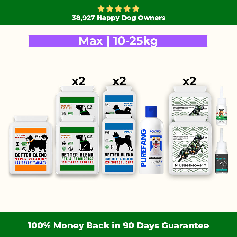 90 Day Health Plan