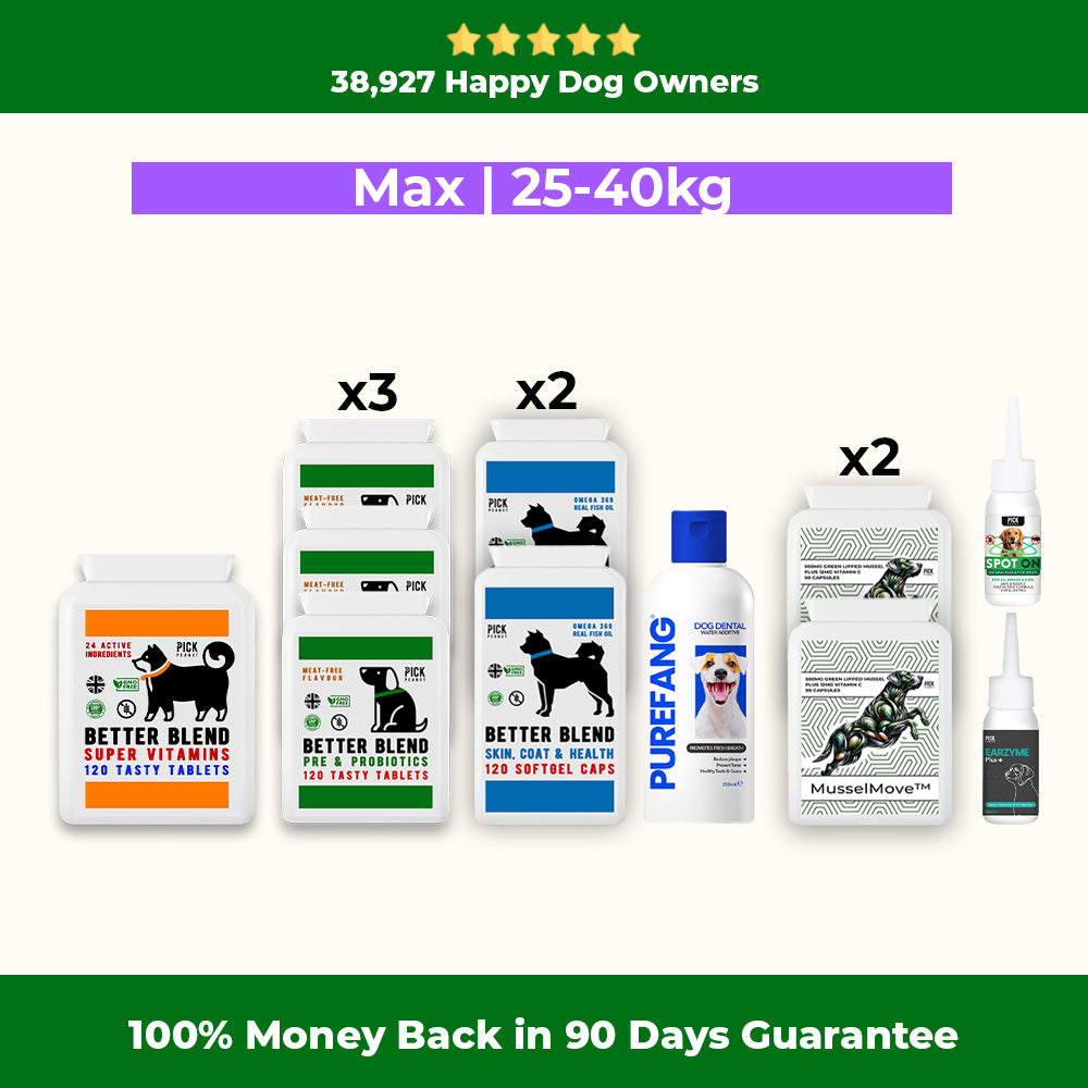 90 Day Health Plan