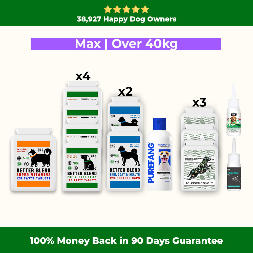 90 Day Health Plan