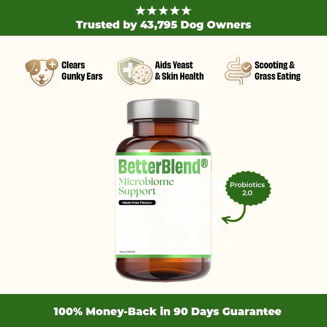 Microbiome Support (probiotics 2.0)