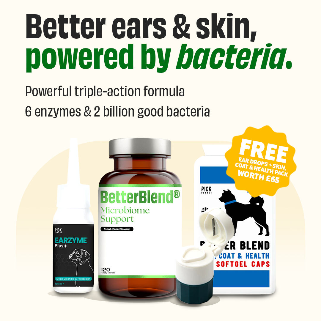 Microbiome Support (probiotics 2.0)