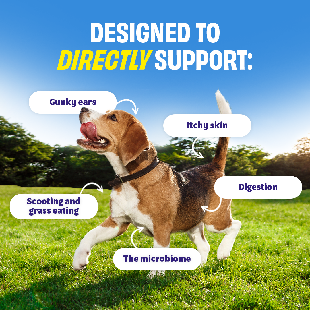 Microbiome Support (probiotics 2.0)