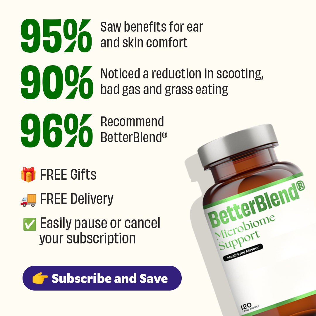 Microbiome Support (probiotics 2.0)