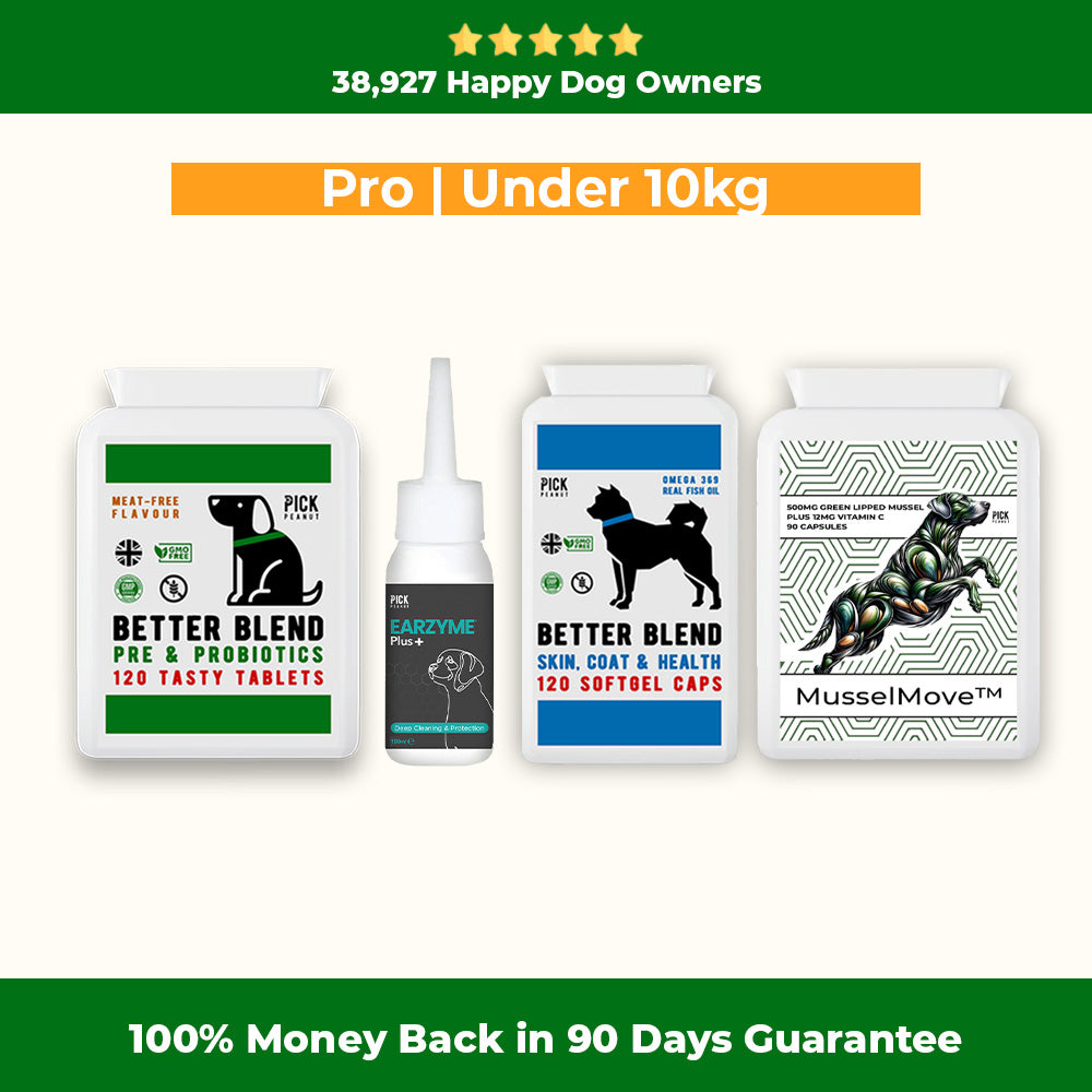 90 Day Health Plan