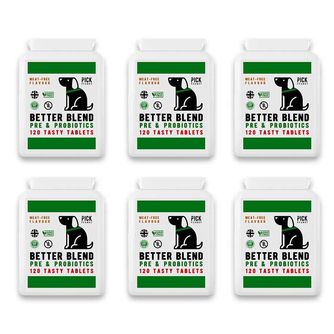 Pre & Probiotics (6 Packs)