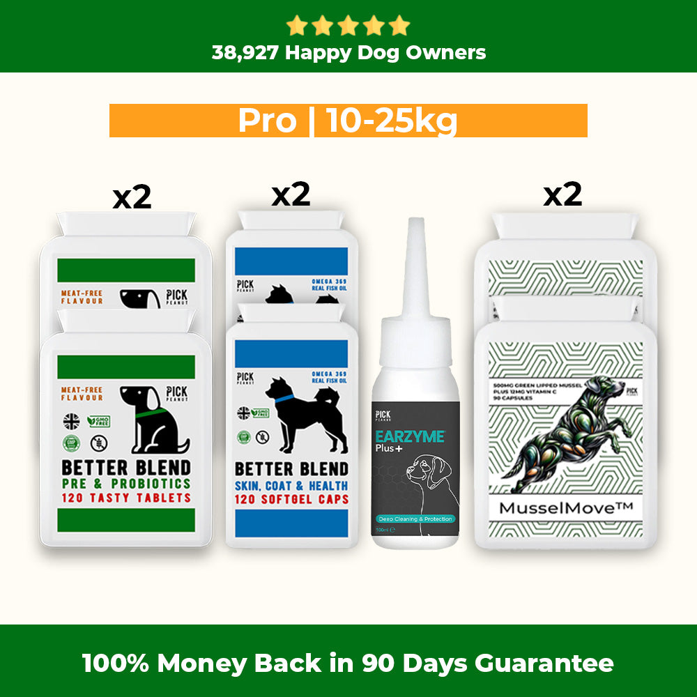 90 Day Health Plan