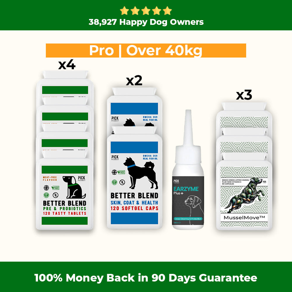 90 Day Health Plan
