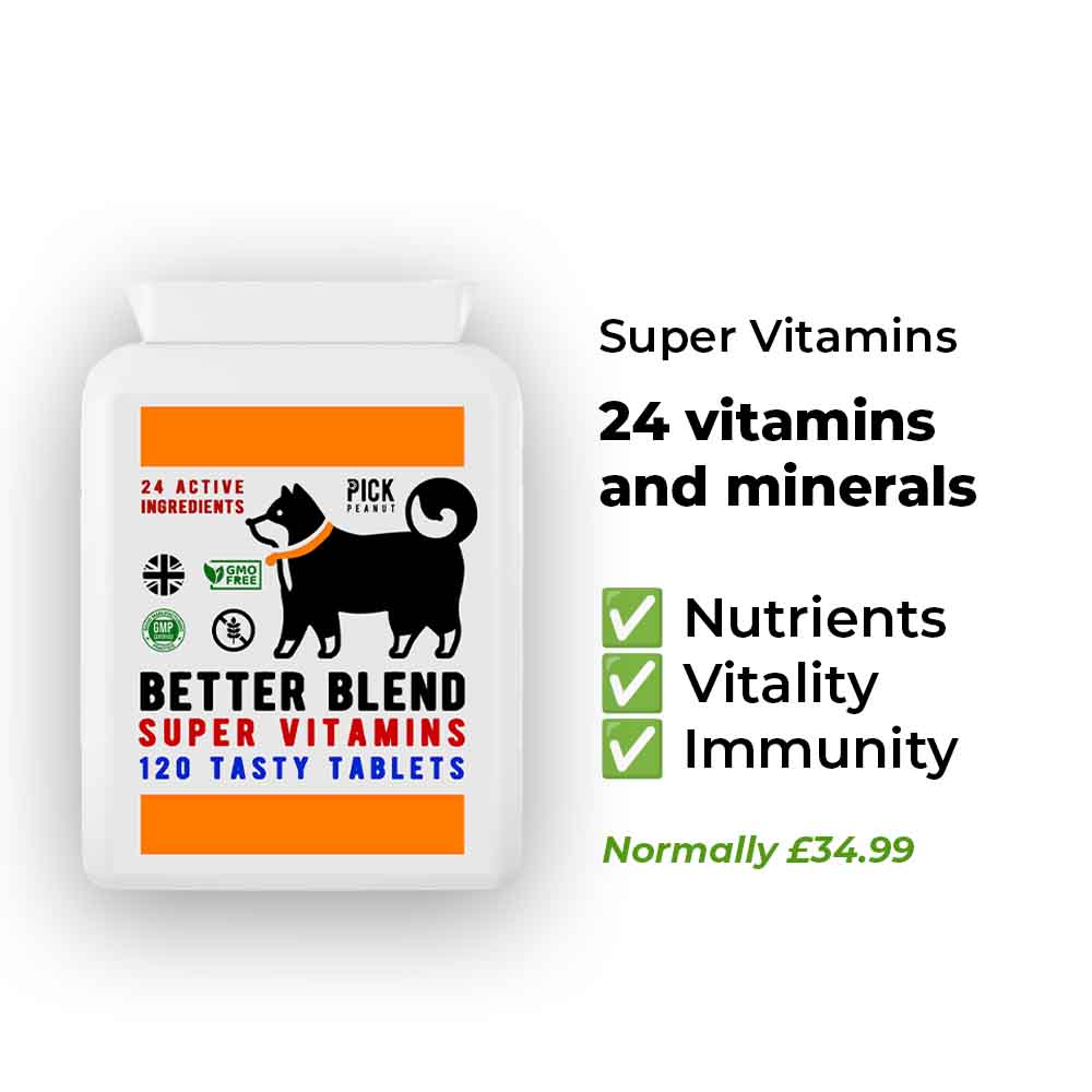 The Ultimate Dog Health Bundle