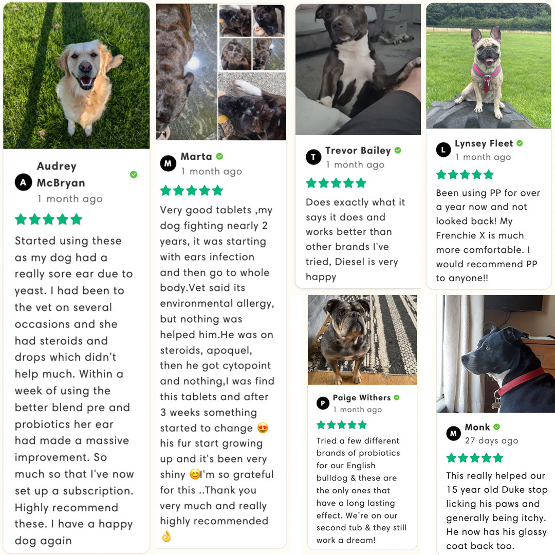 Microbiome Support (probiotics 2.0)