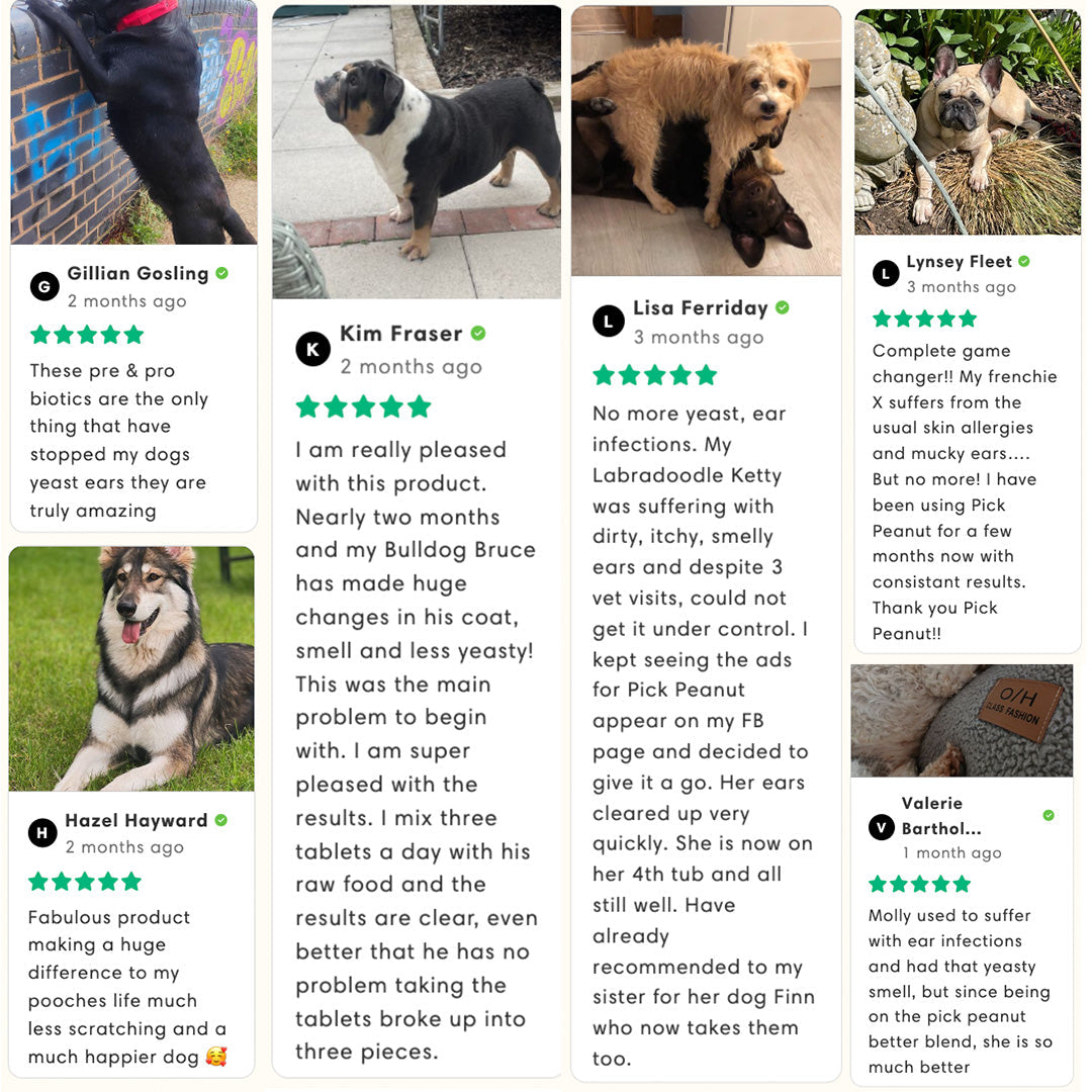 Microbiome Support (probiotics 2.0)