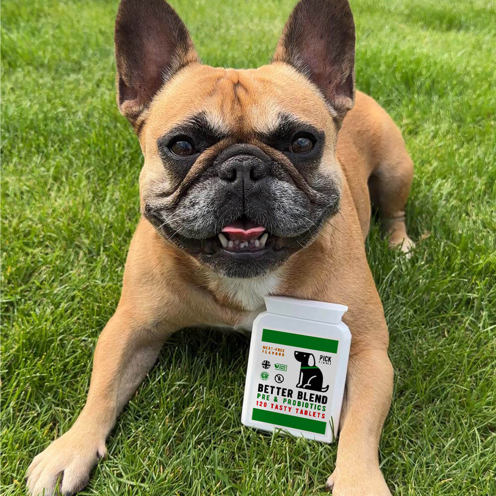 Pre & Pro Biotics (For Bulldog Breeds)