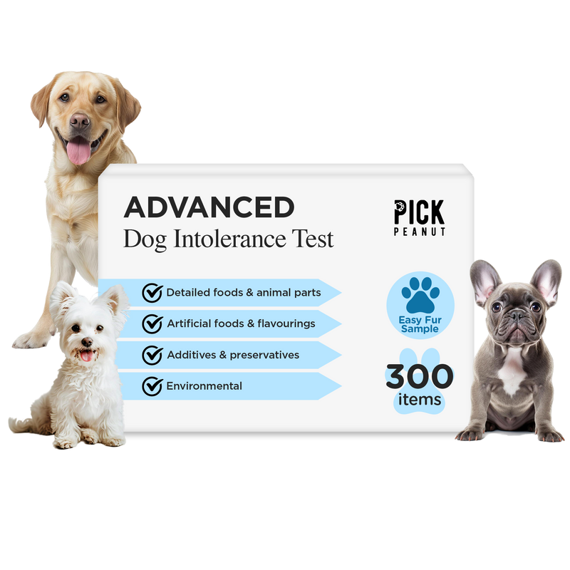 Advanced Dog Intolerance Test