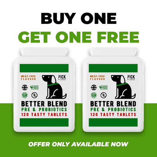 2x Pre & Pro Biotics - BOGO