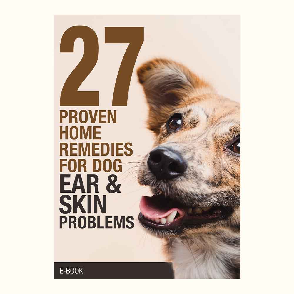 27 Proven Home Remedies for Dog Ear & Skin Problems