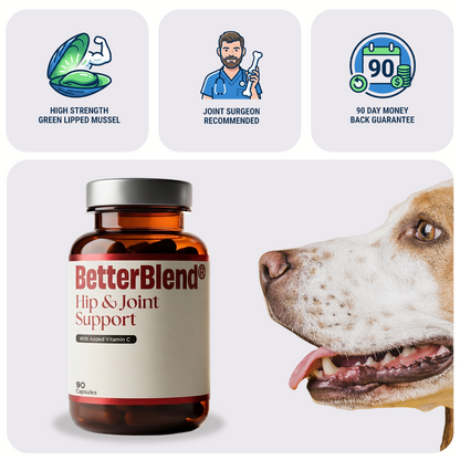 Hip & Joint Support