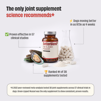 Hip & Joint Support