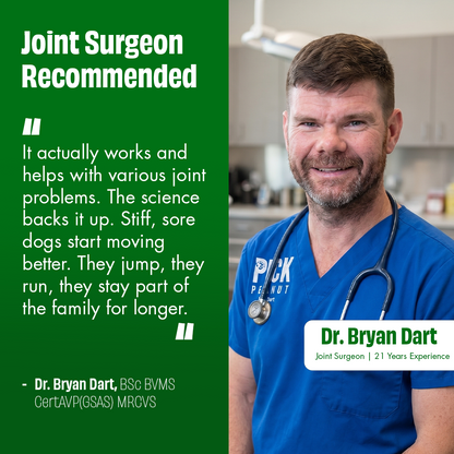 Hip & Joint Support
