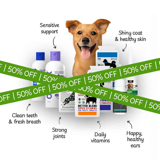 Everything Your Dog Needs Bundle