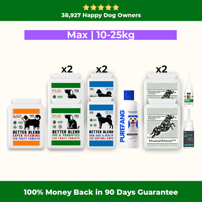 90 Day Health Plan