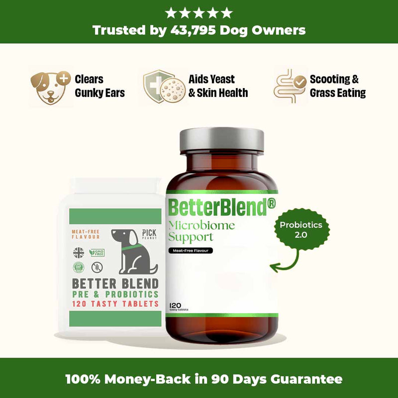 Microbiome Support (probiotics 2.0)