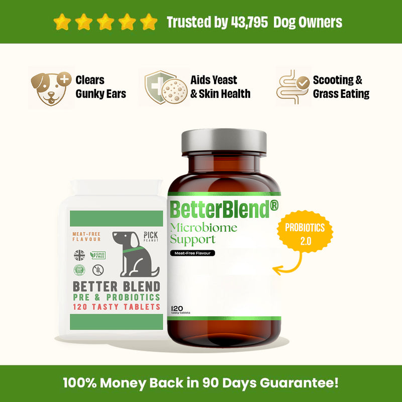 Microbiome Support (probiotics 2.0)