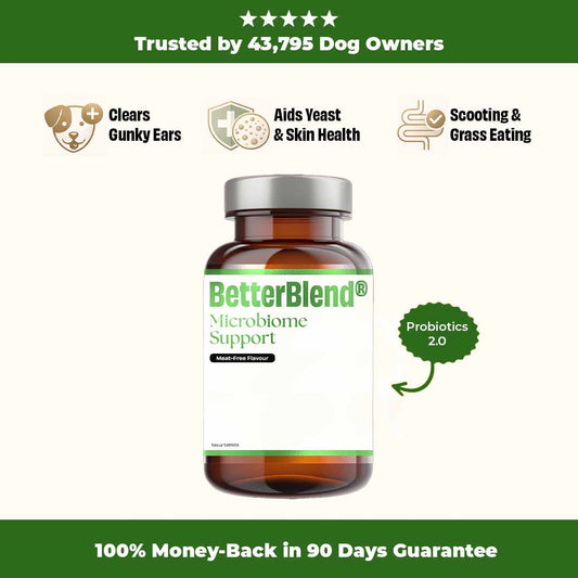 Microbiome Support (probiotics 2.0)