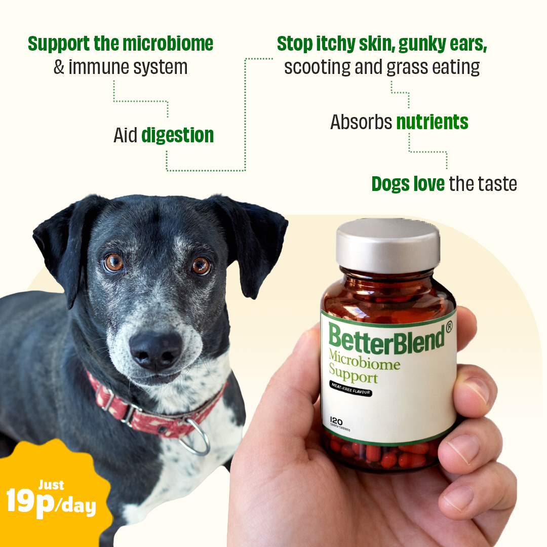 Microbiome Support (probiotics 2.0)