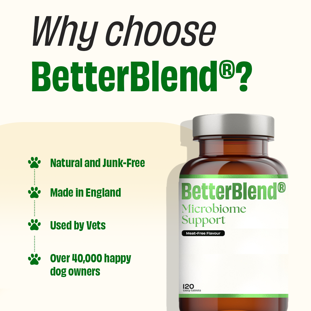 Microbiome Support (probiotics 2.0)