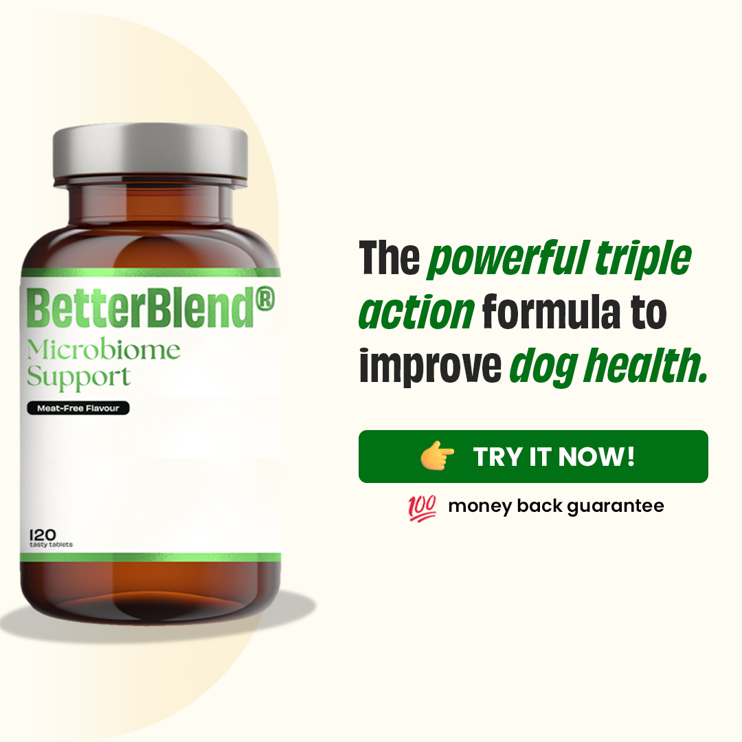 Microbiome Support (probiotics 2.0)