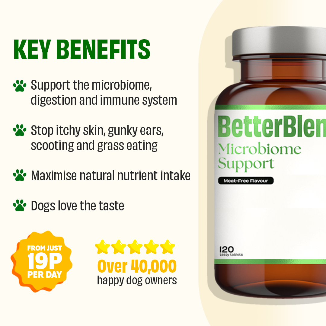 Microbiome Support (probiotics 2.0)