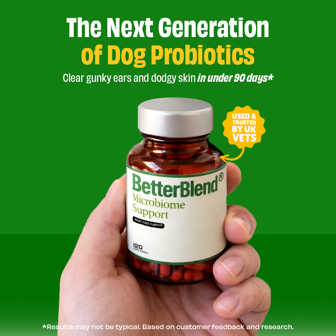 Microbiome Support (probiotics 2.0) – Pick Peanut