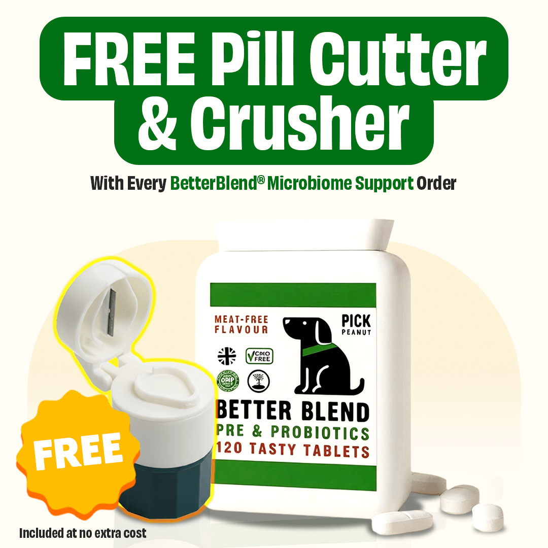 Pill Crusher & Cutter