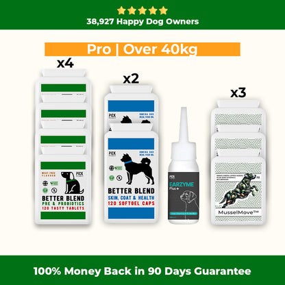 90 Day Health Plan