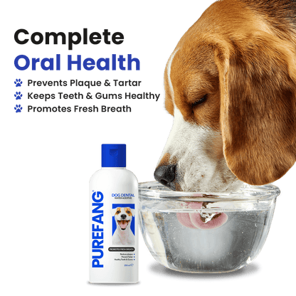 Purefang® Anti-Plaque & Tartar Water Additive