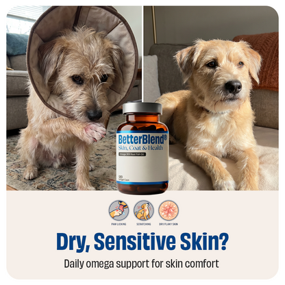 Skin, Coat & Health