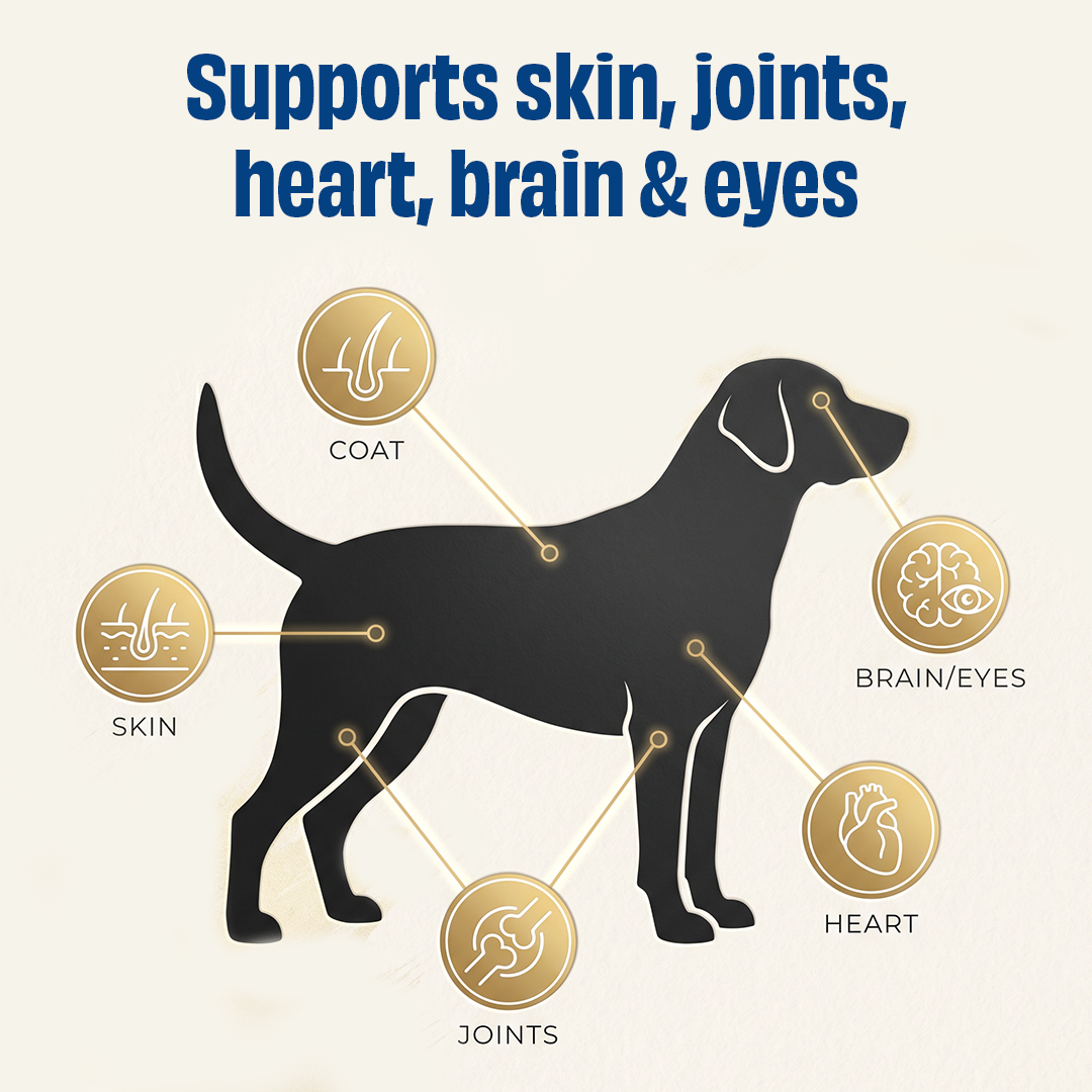 Skin, Coat & Health