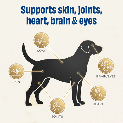 Skin, Coat & Health